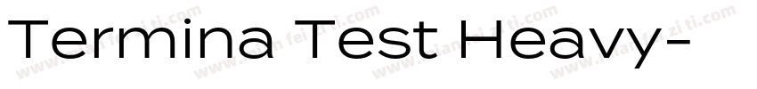 Termina Test Heavy字体转换